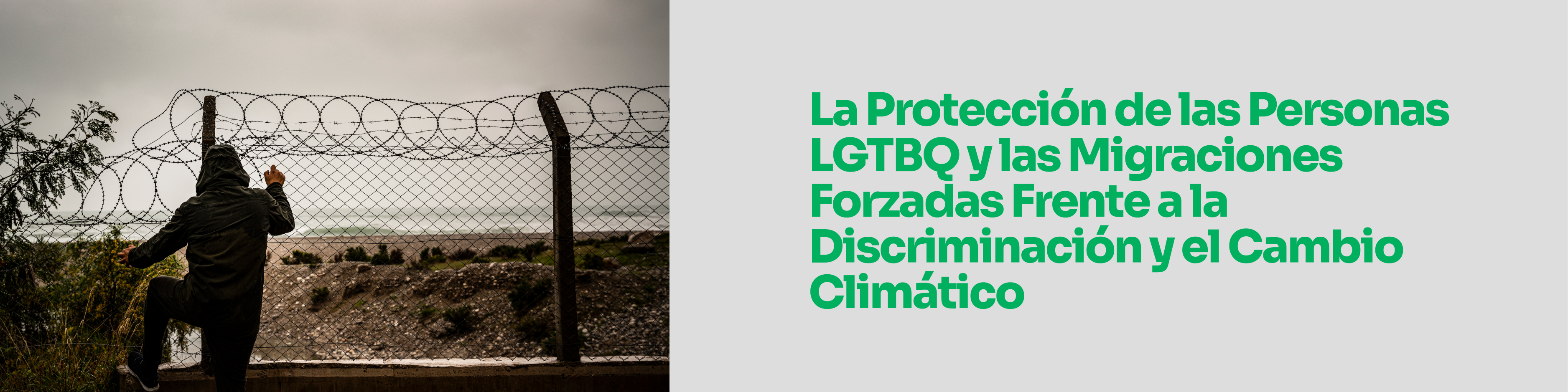 FORO SUR